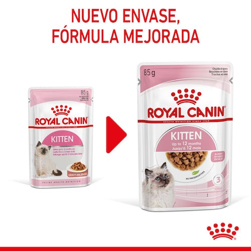 rc-spt-wet-kitten-cig-cv-1-es-es